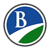 Blueprint Realty branding
