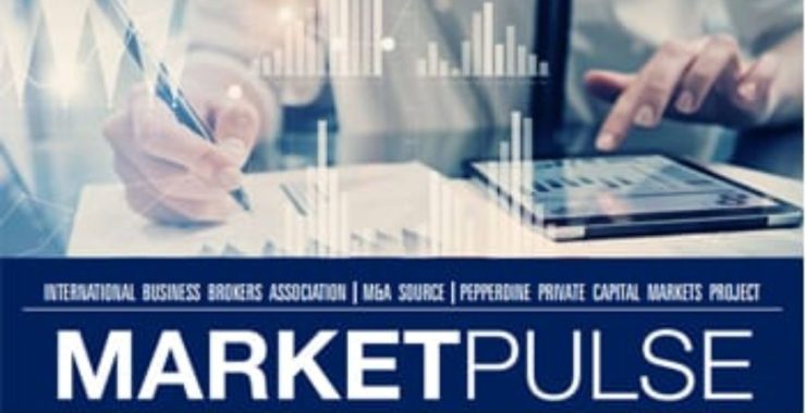 Market Pulse Quarterly Report