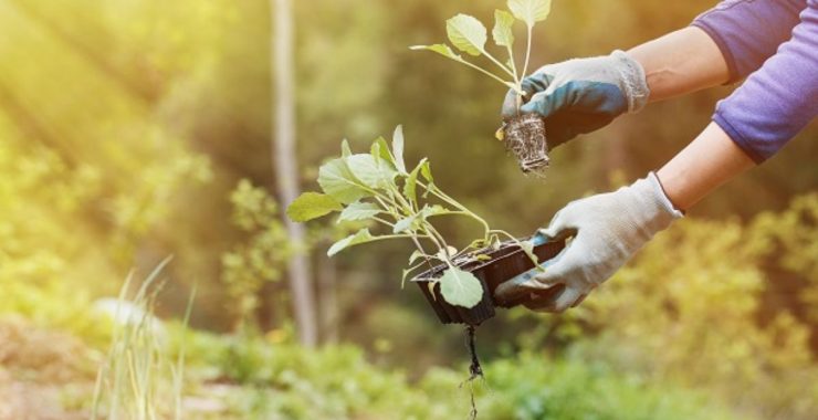 How to Sell a Gardening Business for the Best Price