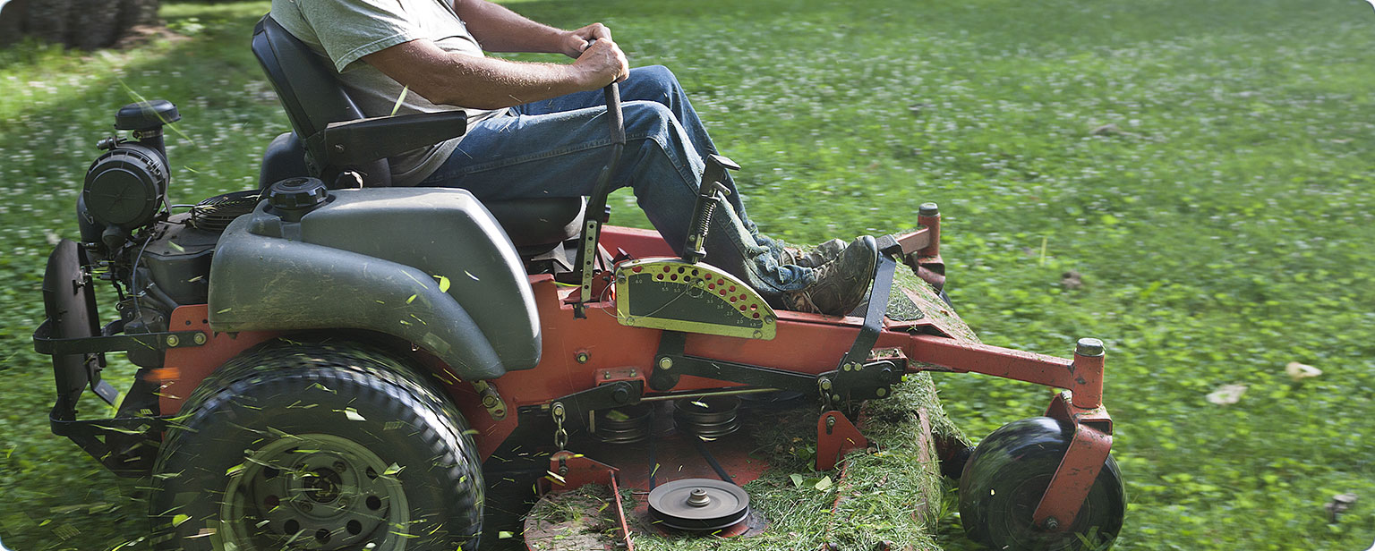 Buy or Sell a Lawn Care Business in Reno, Nevada Sunbelt Network