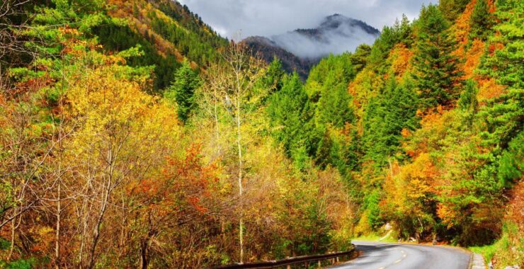 Roanoke Named a Top Destination for Fall Colors 🍂