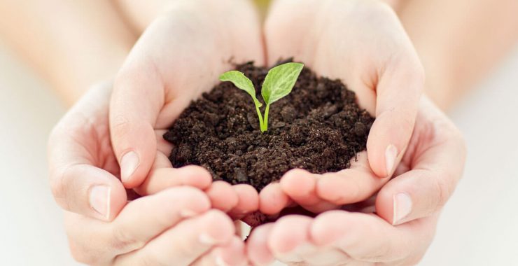 Giving Back: How Generosity in Your Community Can Benefit Your Business and the Community