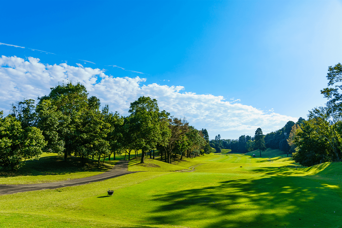 Buying a Golf Course Your Guide to Success Sunbelt Business Brokers