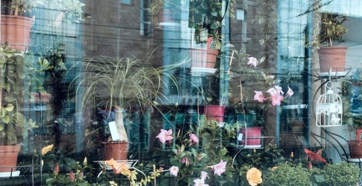 What to Consider When Selling a Florist Business